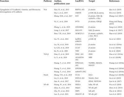 The role of long noncoding RNAs as regulators of the epithelial–Mesenchymal transition process in oral squamous cell carcinoma cells